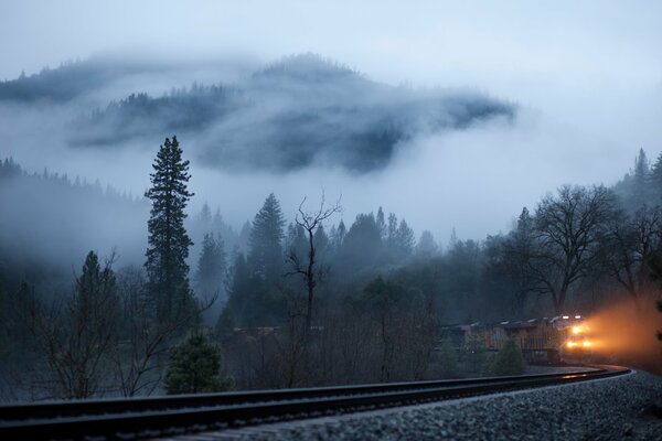 Train lights in a foggy forest