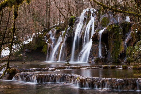 Beautiful forest waterfall cascades