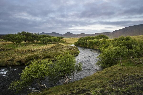 Paysage, Islande du Sud, été