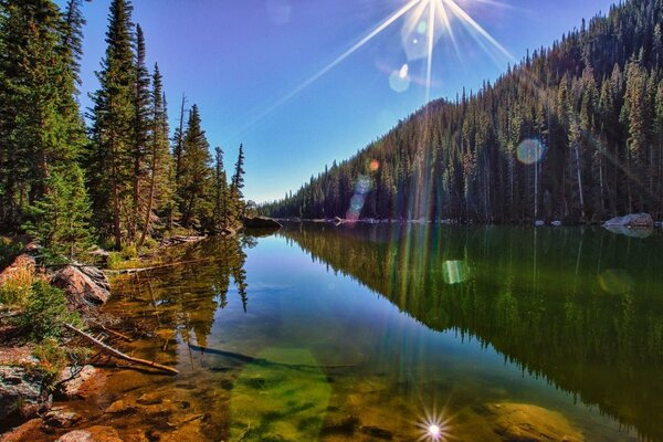 Picturesque view of the river and the forest around. Colorado, USA