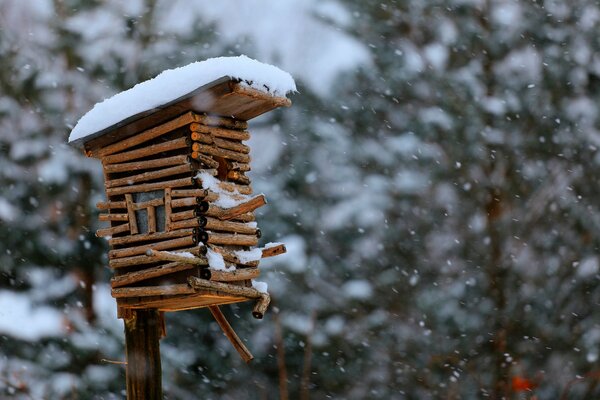 Schönes Vogelhaus im Winter