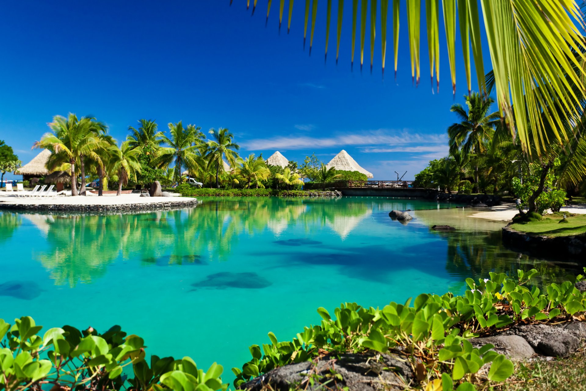 tropical paradis plage palmiers mer océan soleil été vacances tropiques lagon