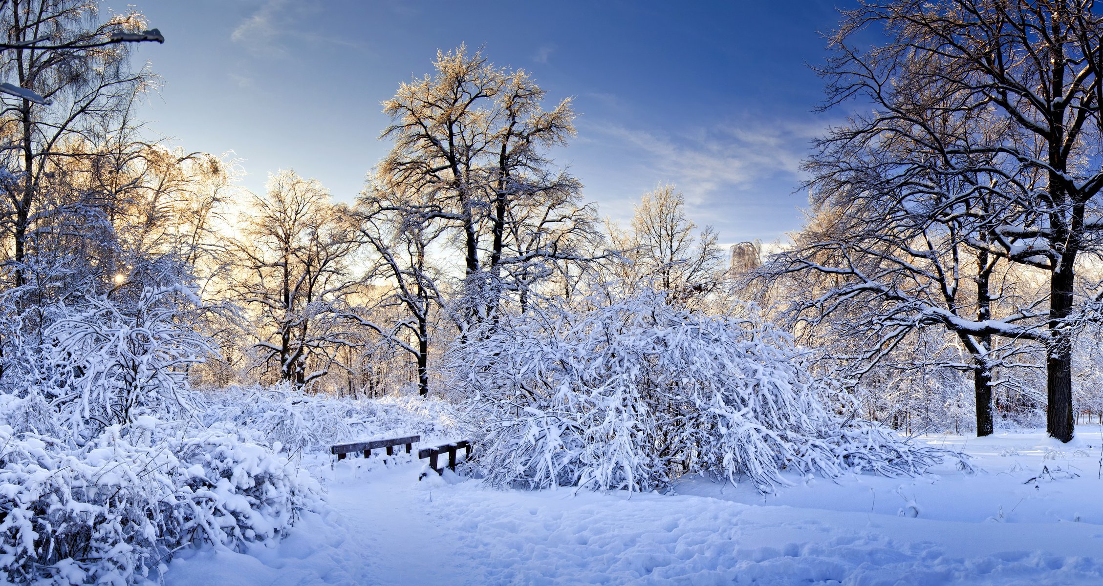 winter natur schnee bäume zweige büsche brücke brücke