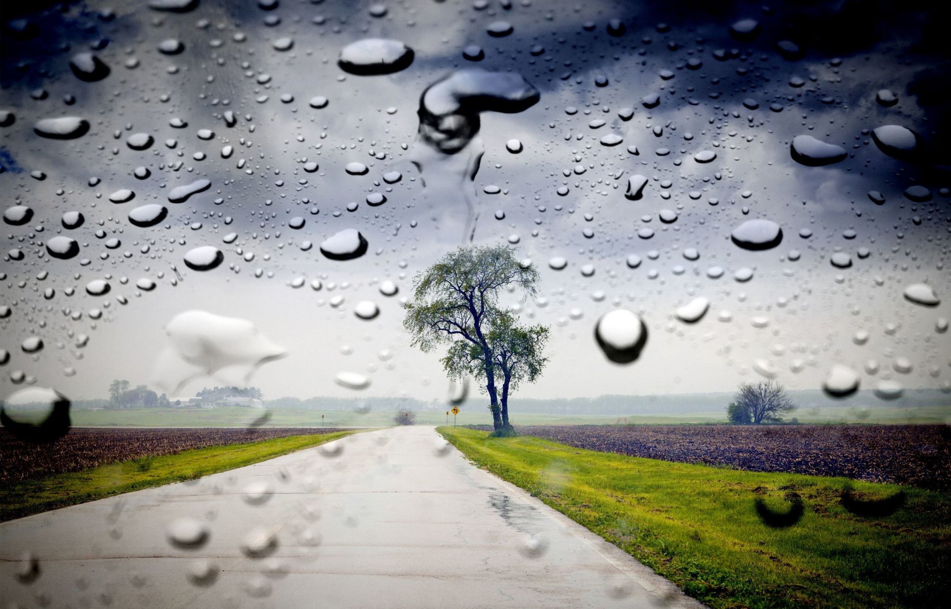 naturaleza árbol hojas hojas hojas árboles hierba vegetación camino gotas agua vidrio ventana señal de tráfico fondo papel pintado pantalla ancha pantalla completa pantalla ancha pantalla ancha