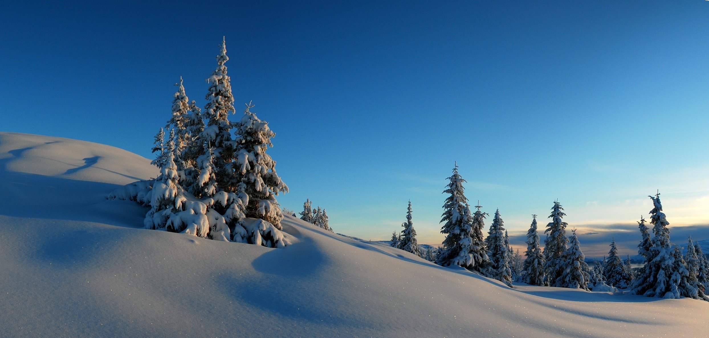 winter schnee hügel bäume fichte himmel sonnenuntergang frost horizont