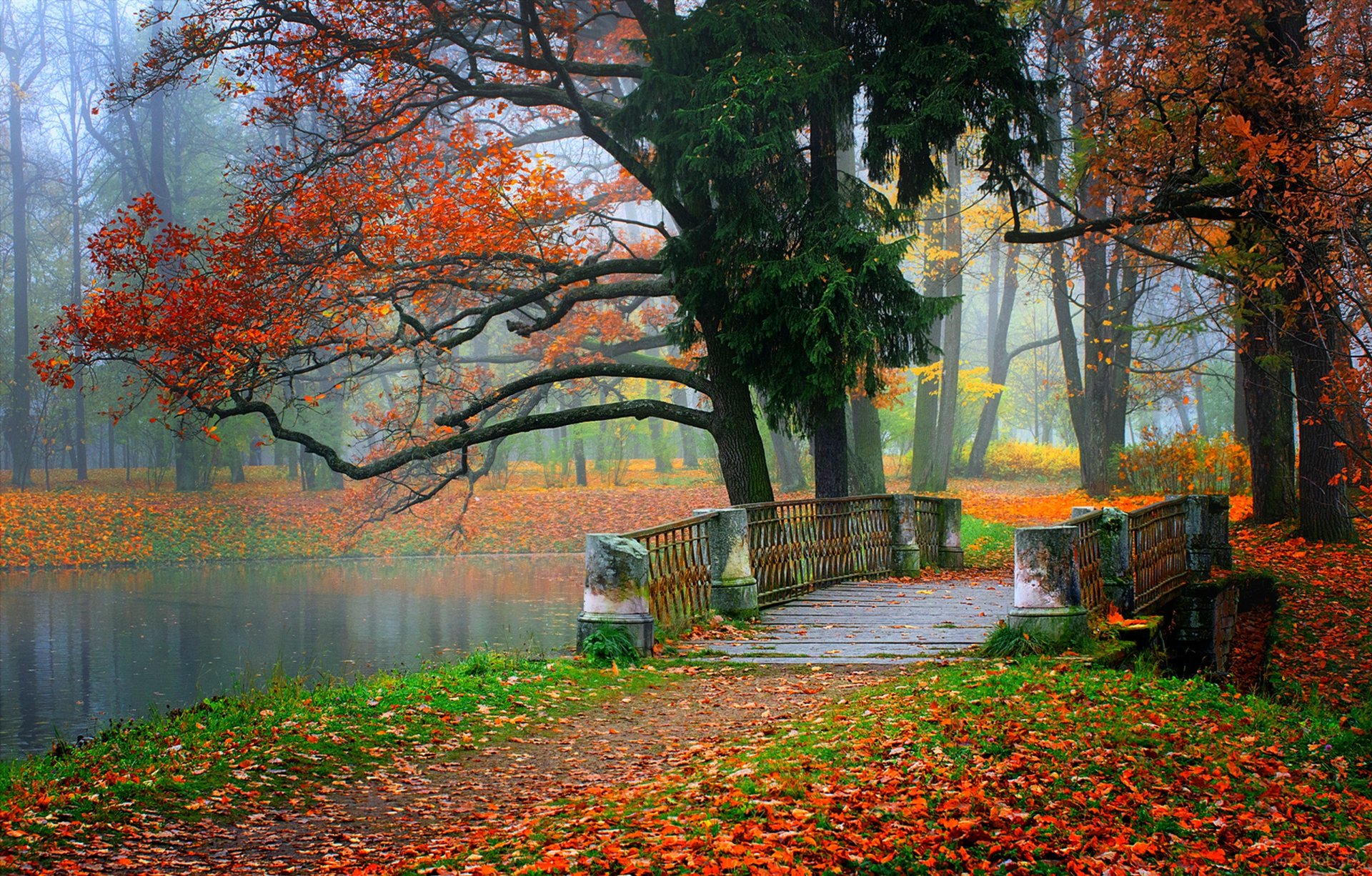 nature river water forest park trees leaves colorful autumn fall colors walk mountains sky