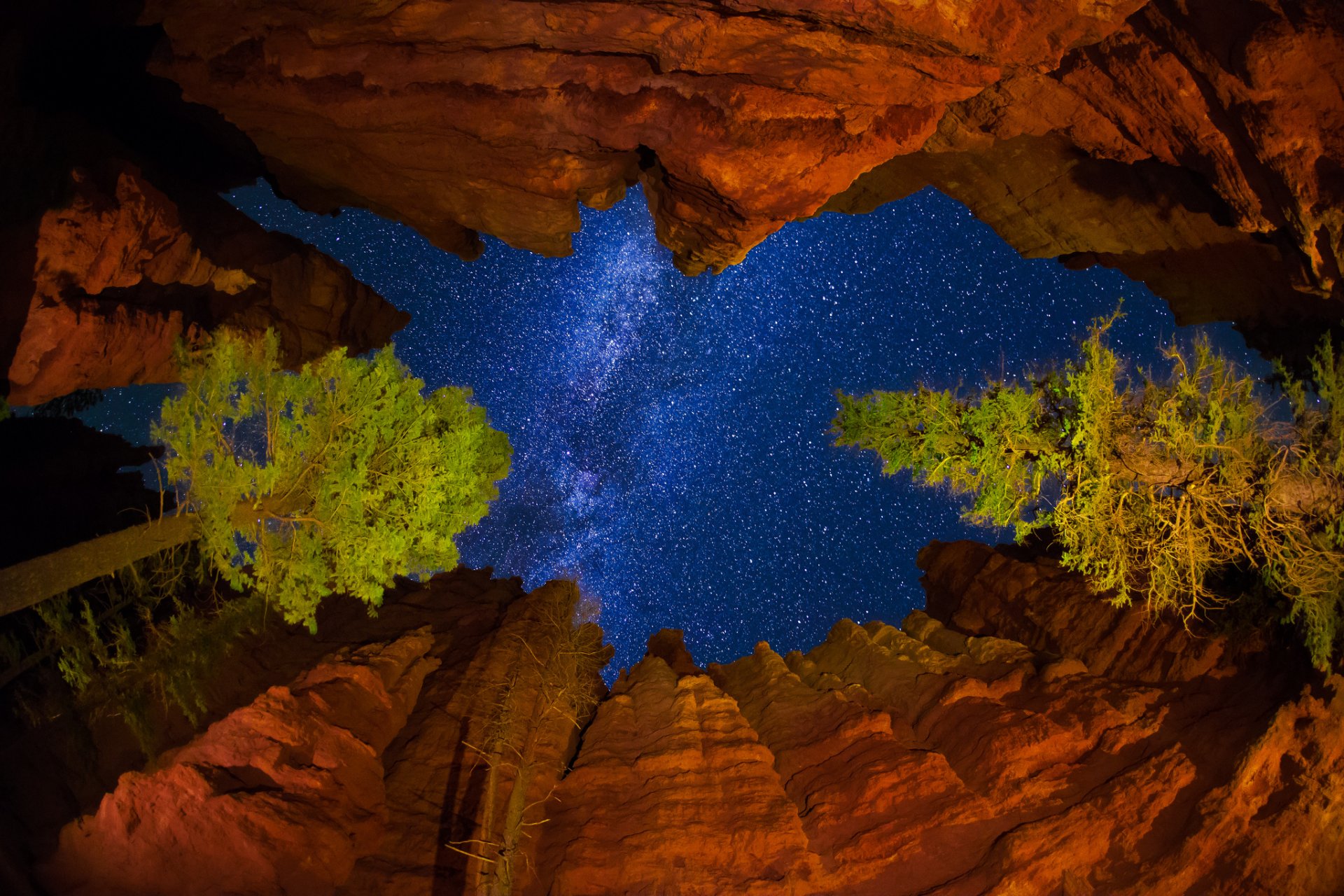 usa utah bryce canyon national park nacht himmel sterne milchstraße felsen bäume