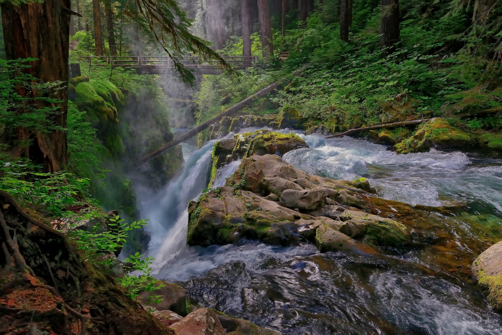 wald fluss strom wasserfall steine brücke