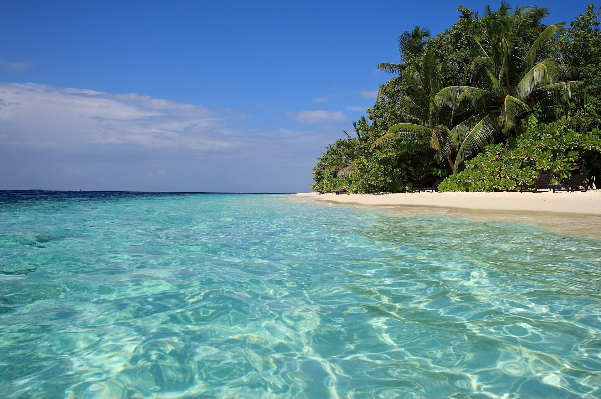 tropen meer blaues wasser ufer sand palmen