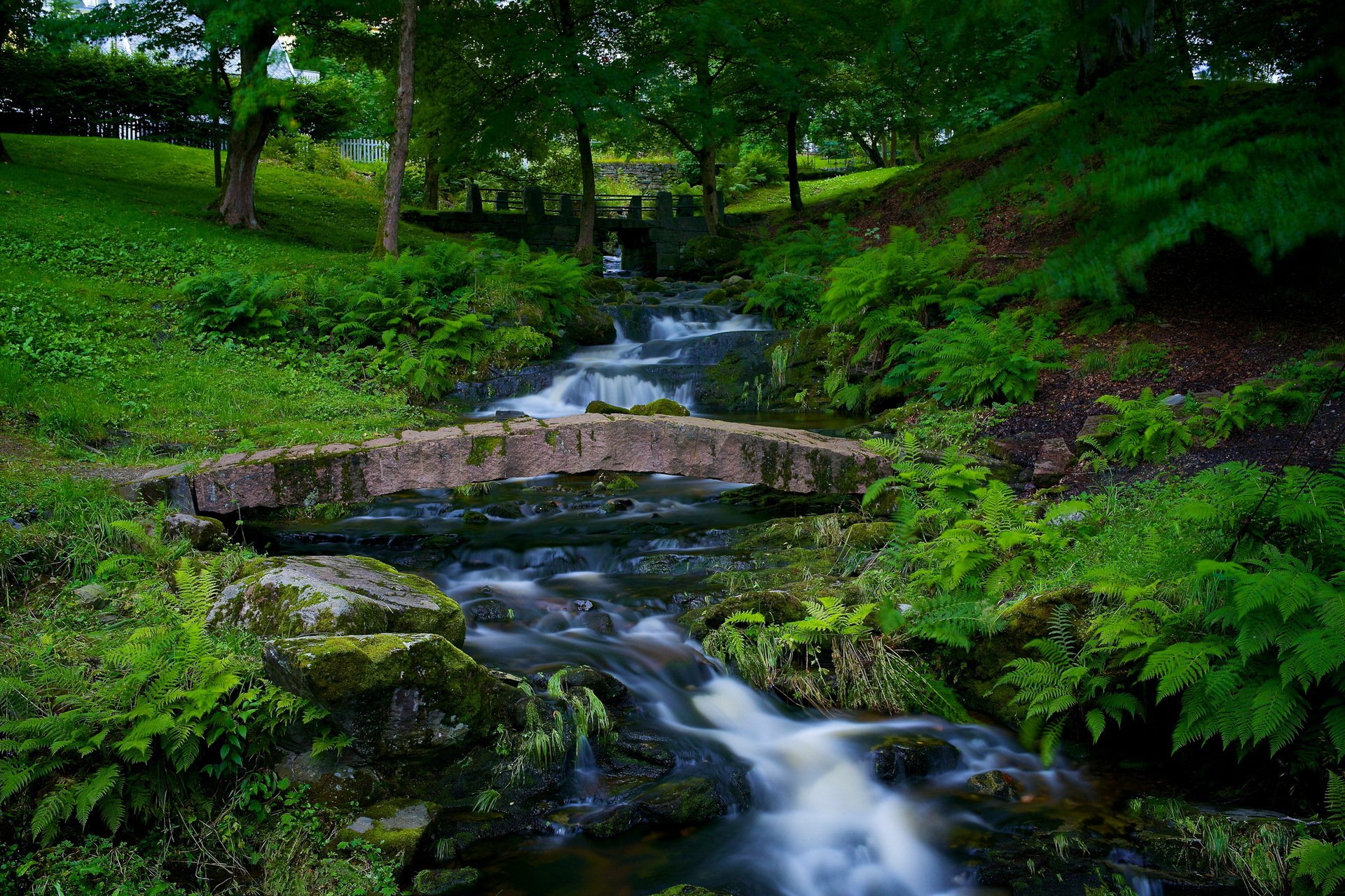 park fluss natur