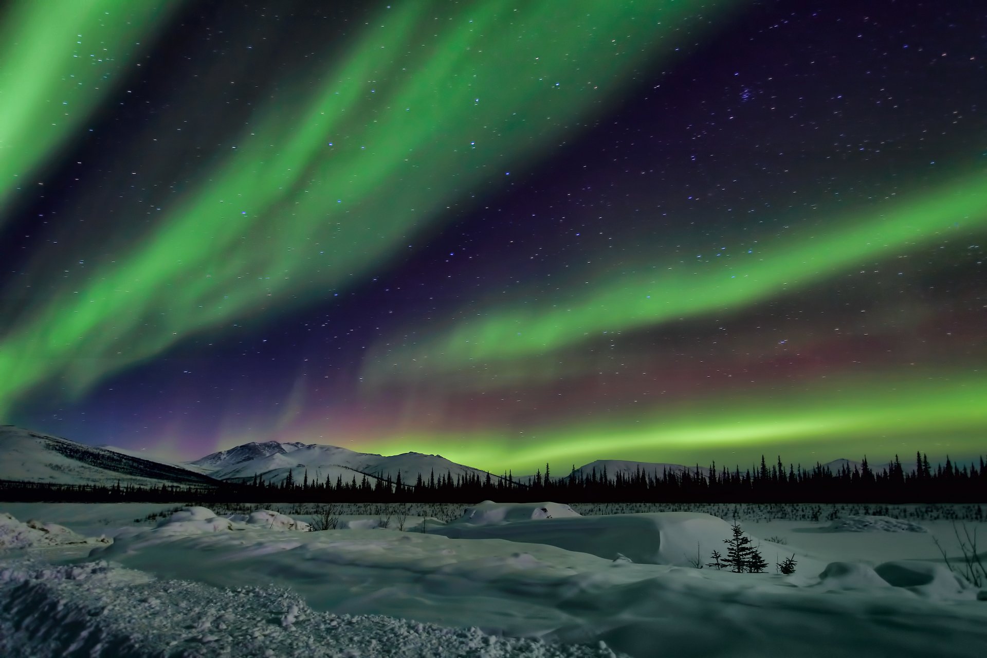 alaska zorza polarna krajobraz niebo noc gwiazdy góry drzewa śnieg