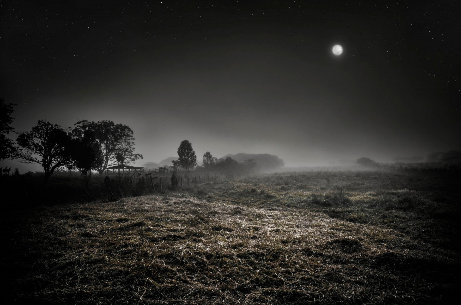 notte nebbia luna