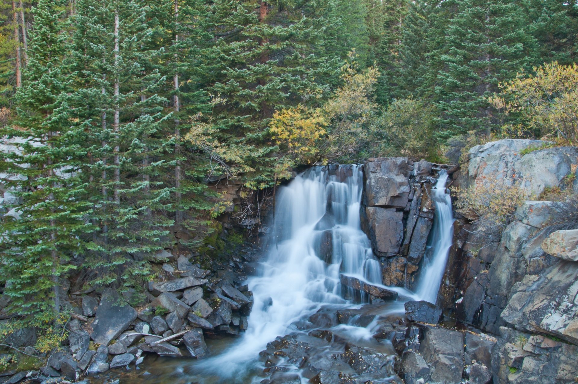 boulder cascata cascata foresta alberi rocce