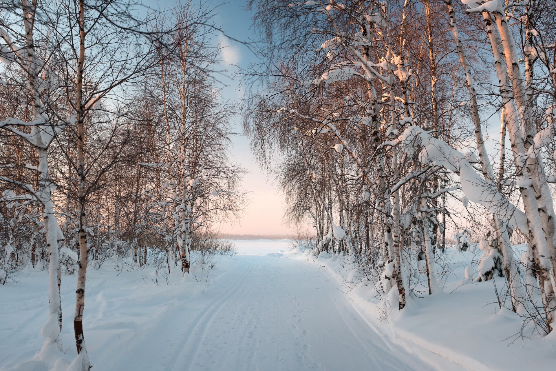 night winter frost landscape sun