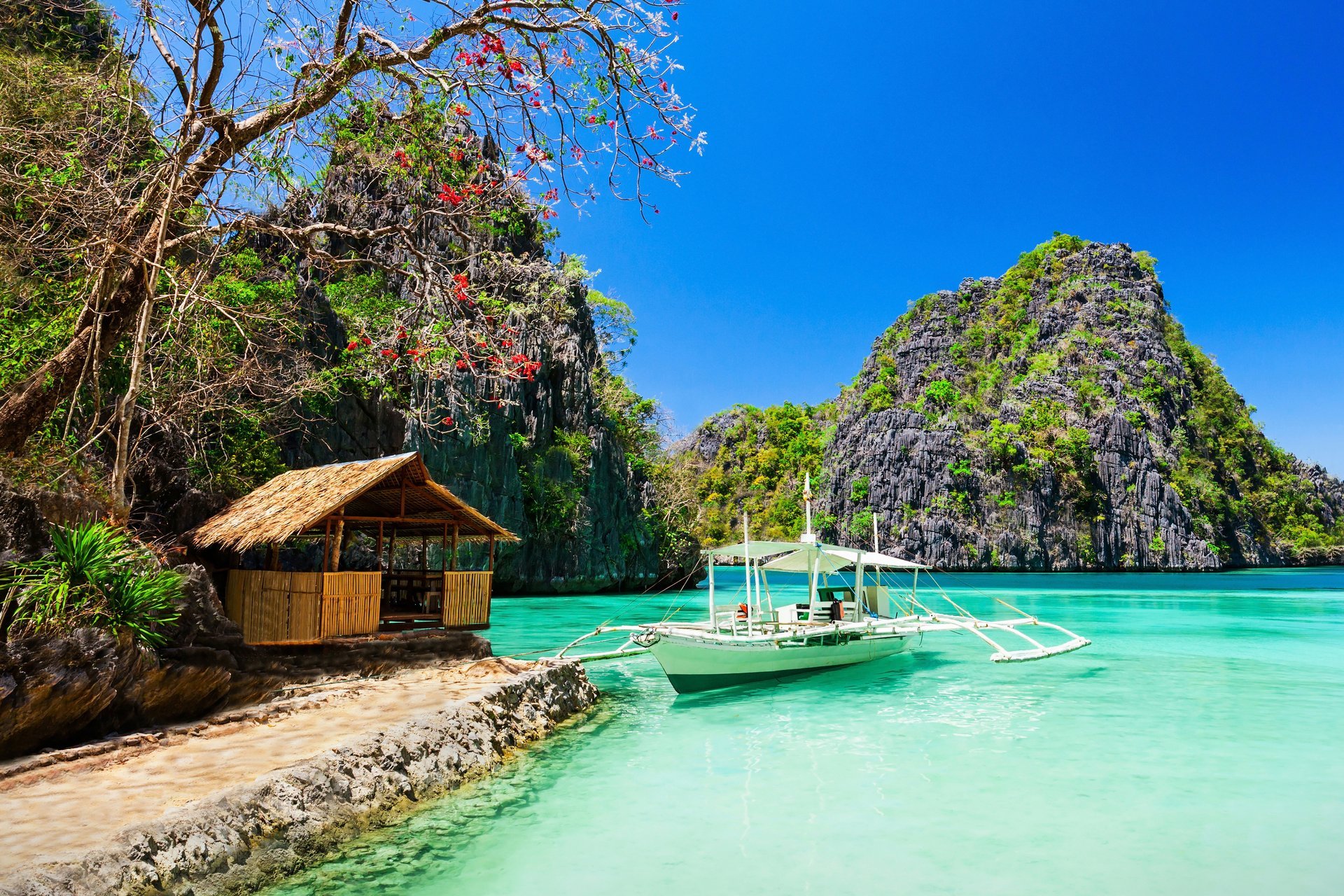 tropisches paradies meer küste strand bäume felsen hütte küste felsen haus