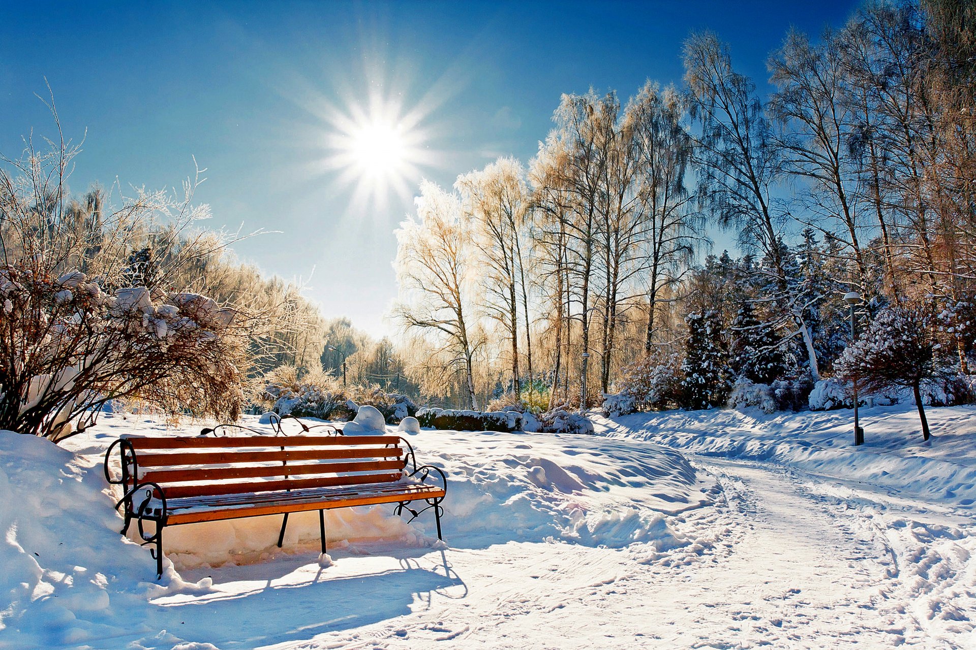 natur bank wald park sonne winter schnee himmel landschaft winter weiß cool schön sonnenuntergang stand