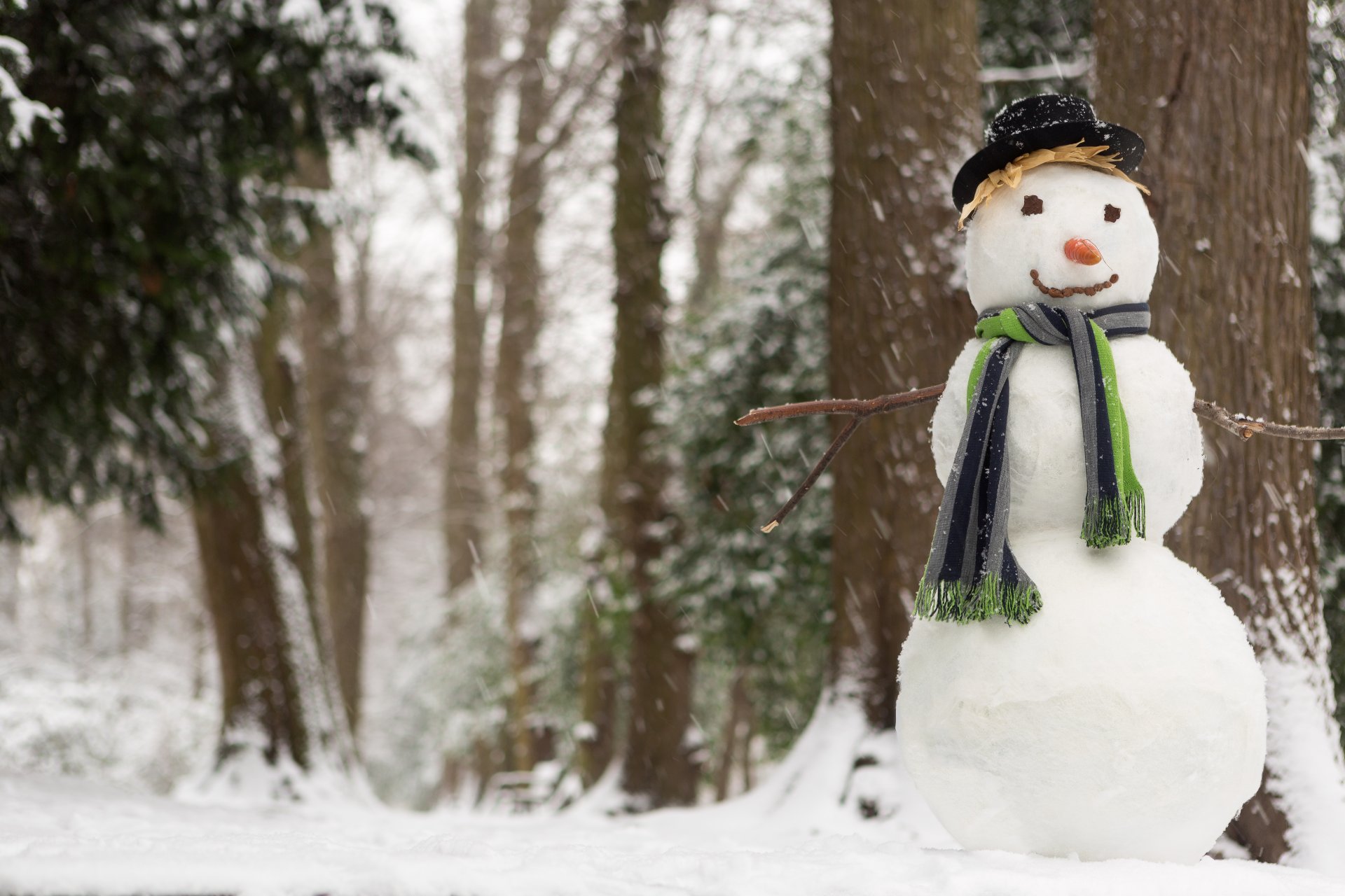 forest. trees snow winter snowman scarf hat carrot