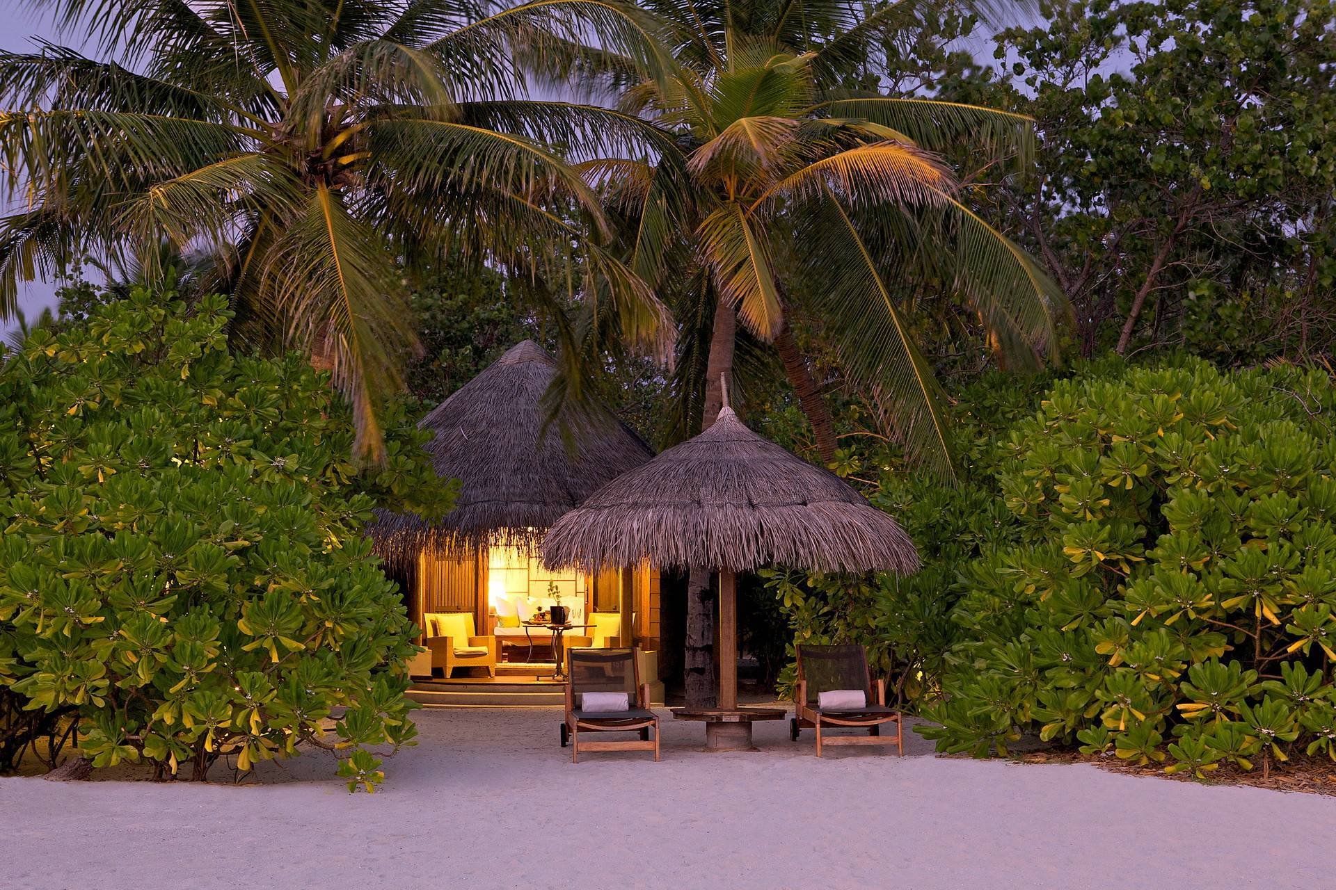 nature plage gazebo transat parapluie sable palmiers arbres verdure