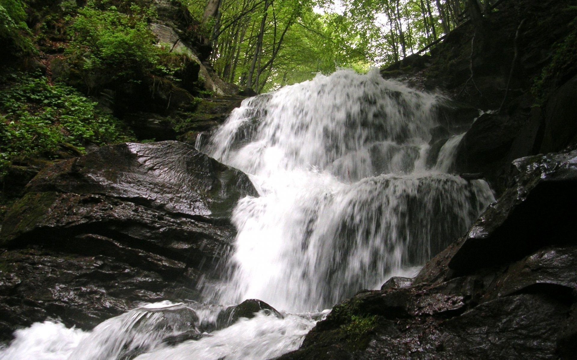 ukraine carpates rivière de montagne cascade