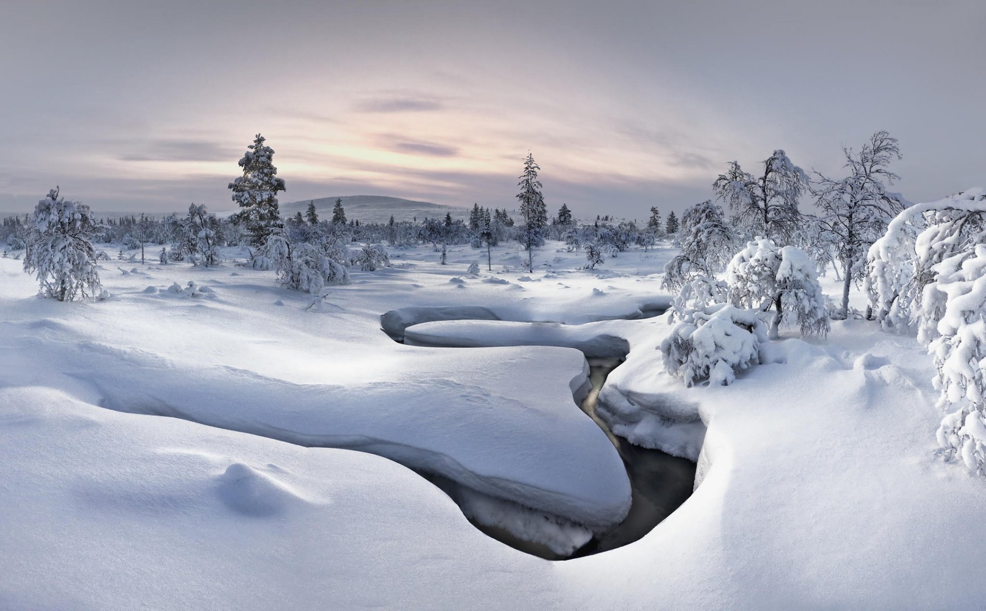 invierno nieve bosque naturaleza río