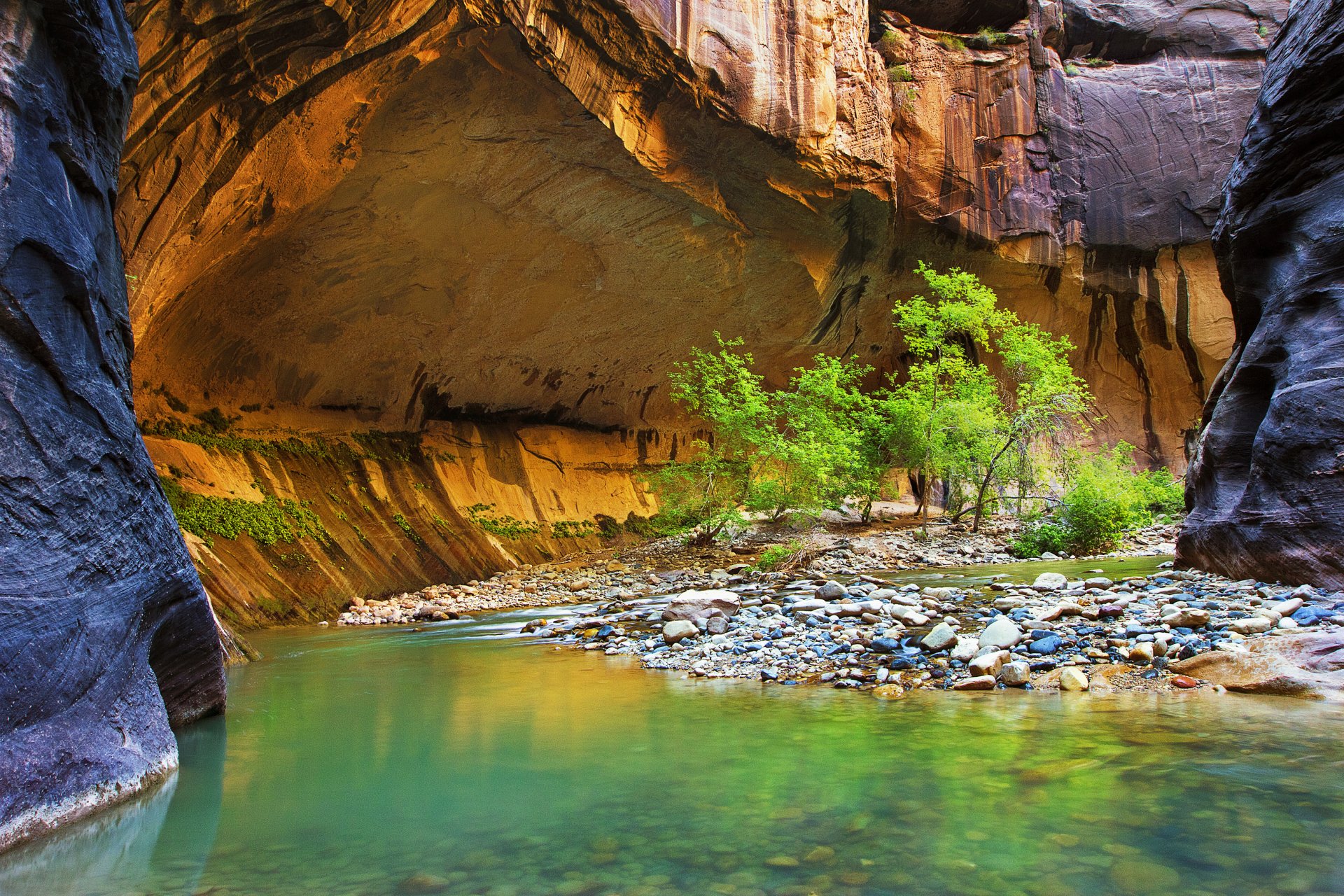 fiume rocce canyon rocce alberi foglie