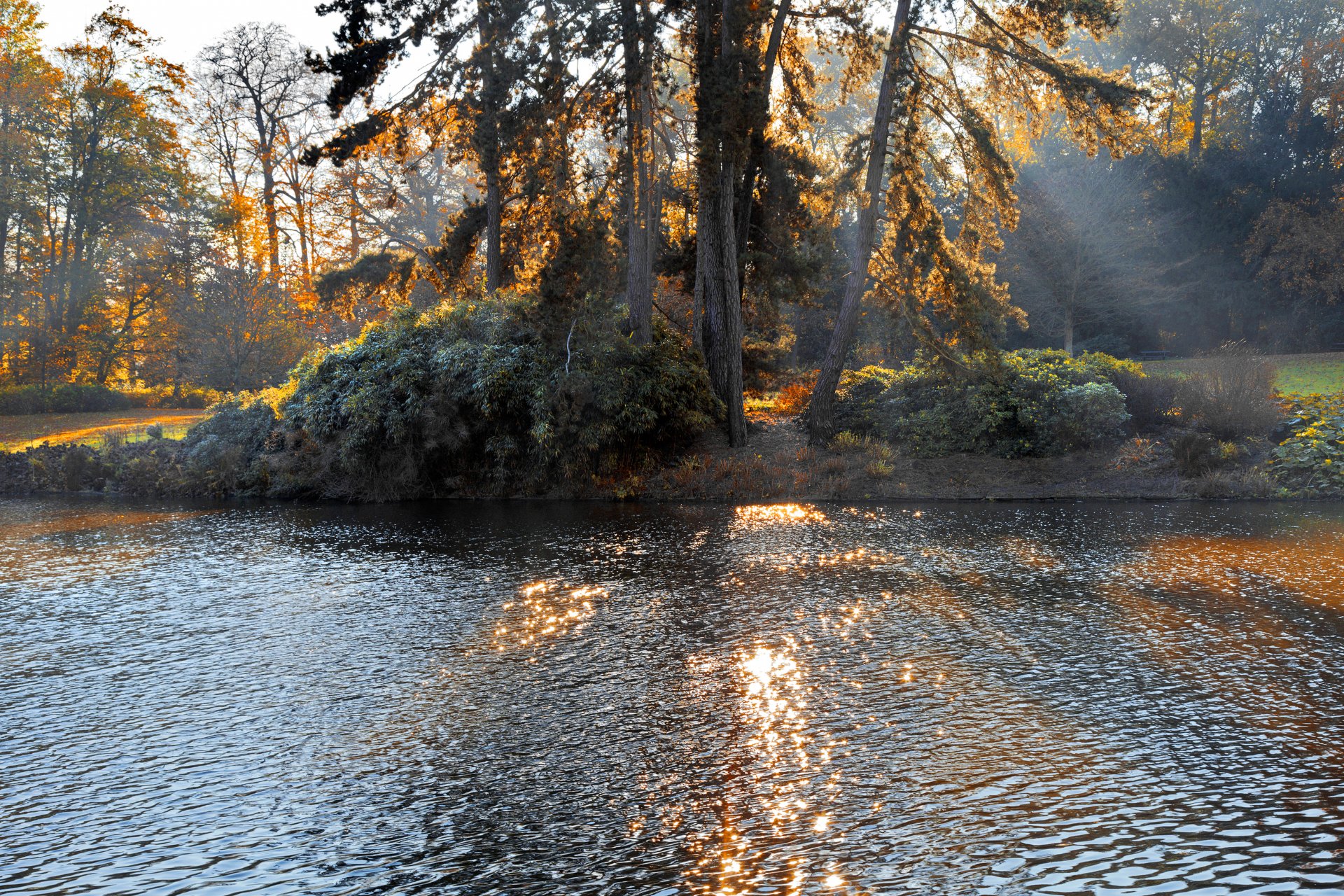 autumn park jezioro drzewa natura krajobraz las słońce