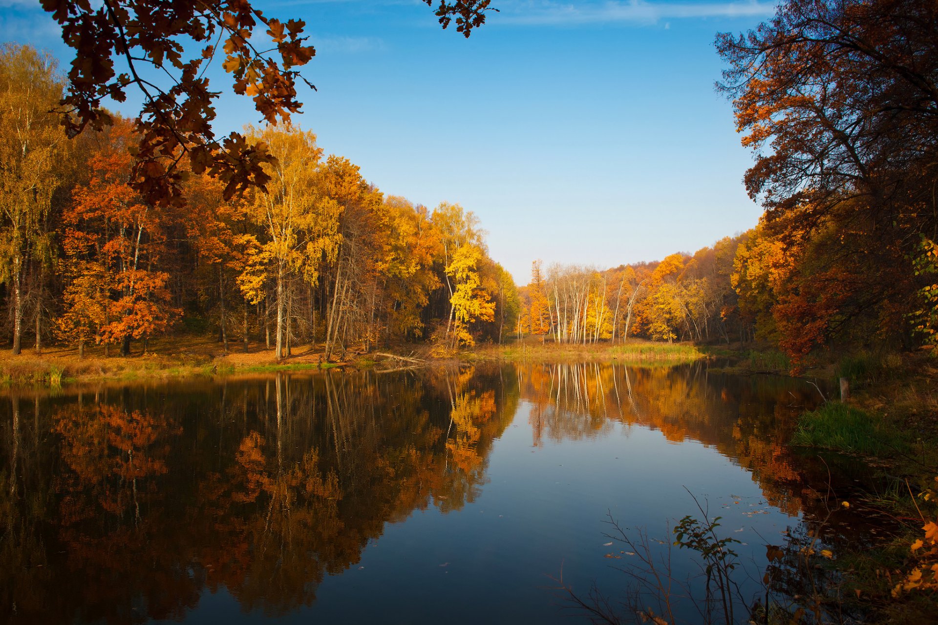 naturaleza otoño árboles estanque lago cielo reflejos pintura