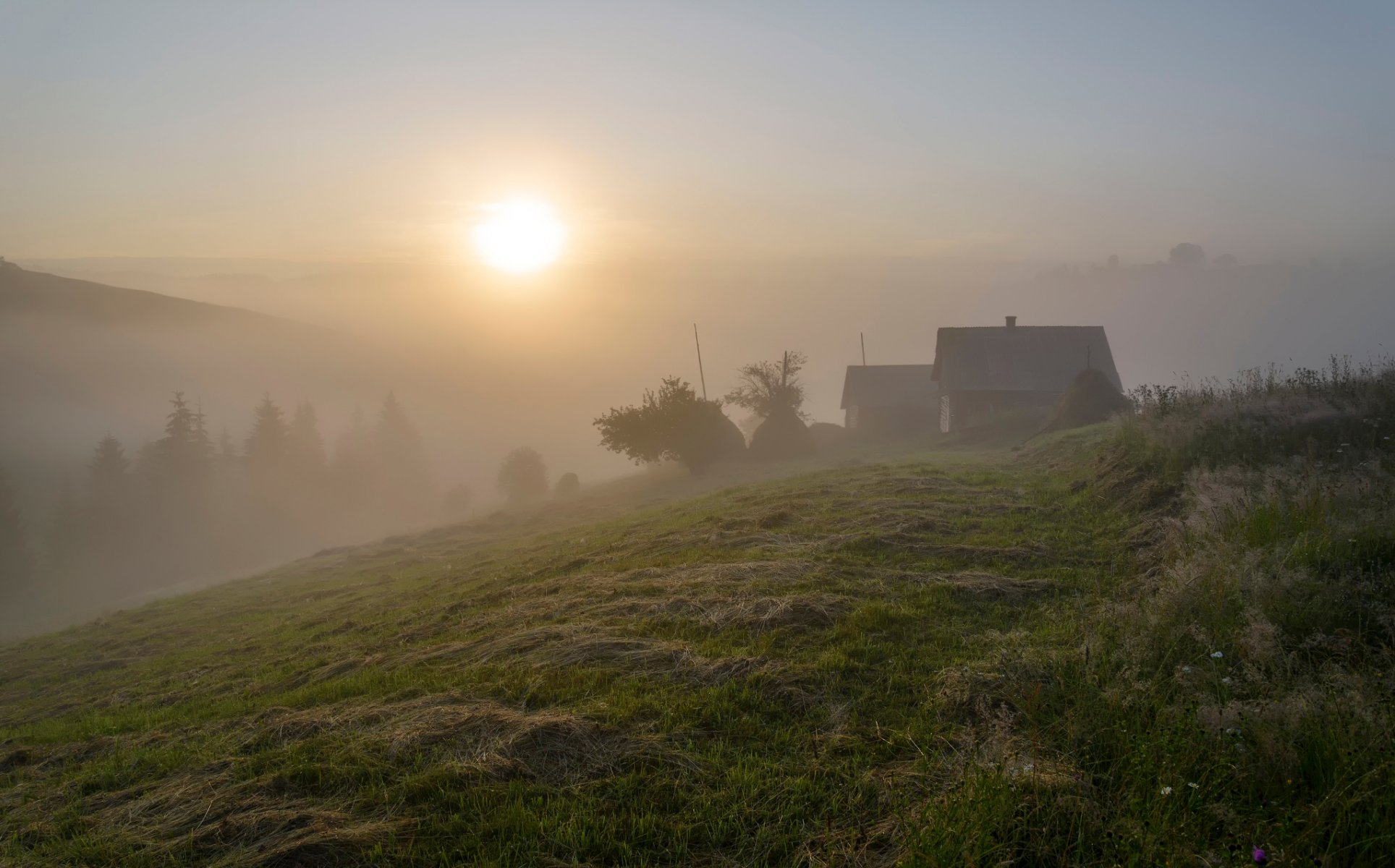 carpathian mountains summer morning fog