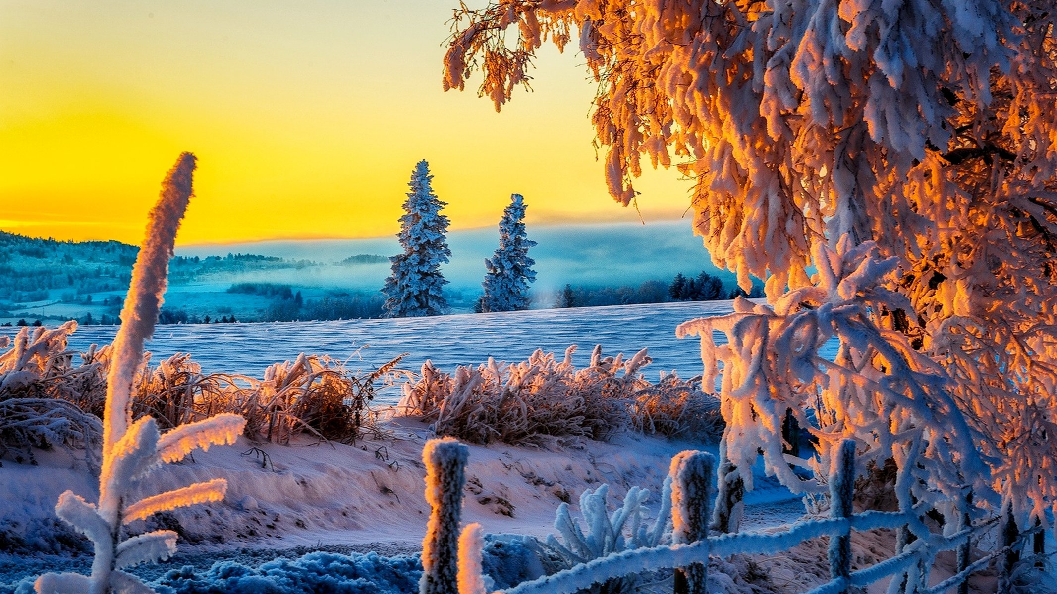 naturaleza invierno nieve carretera árboles bosque cielo paisaje invierno blanco fresco agradable puesta de sol