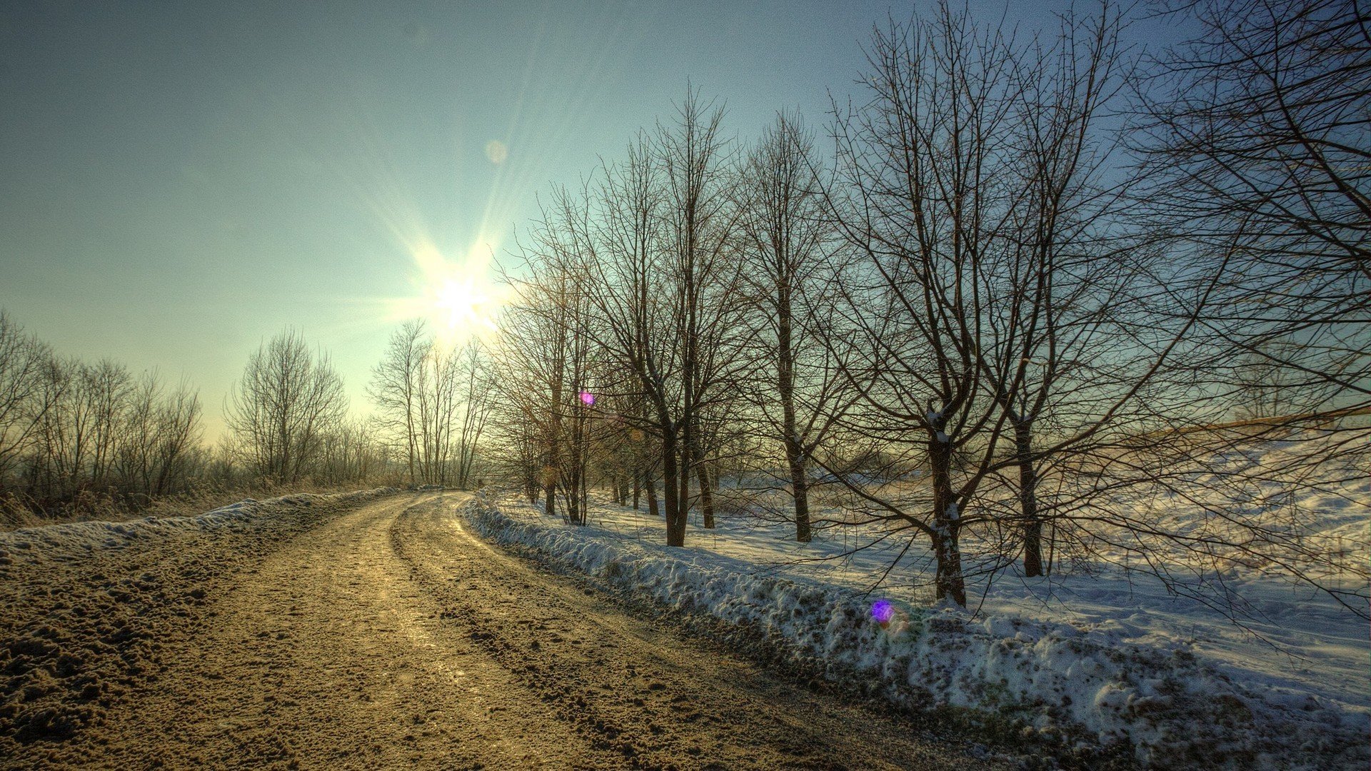 inverno neve strada fango alberi sole