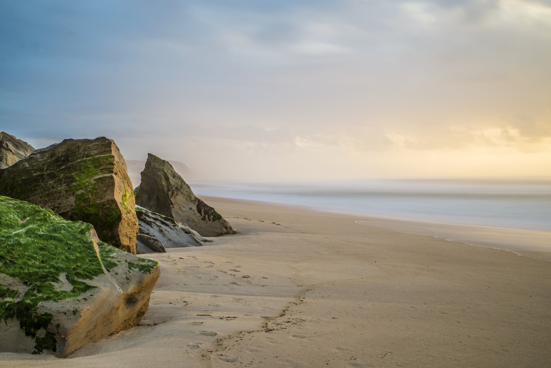 mer sable pierres mousse