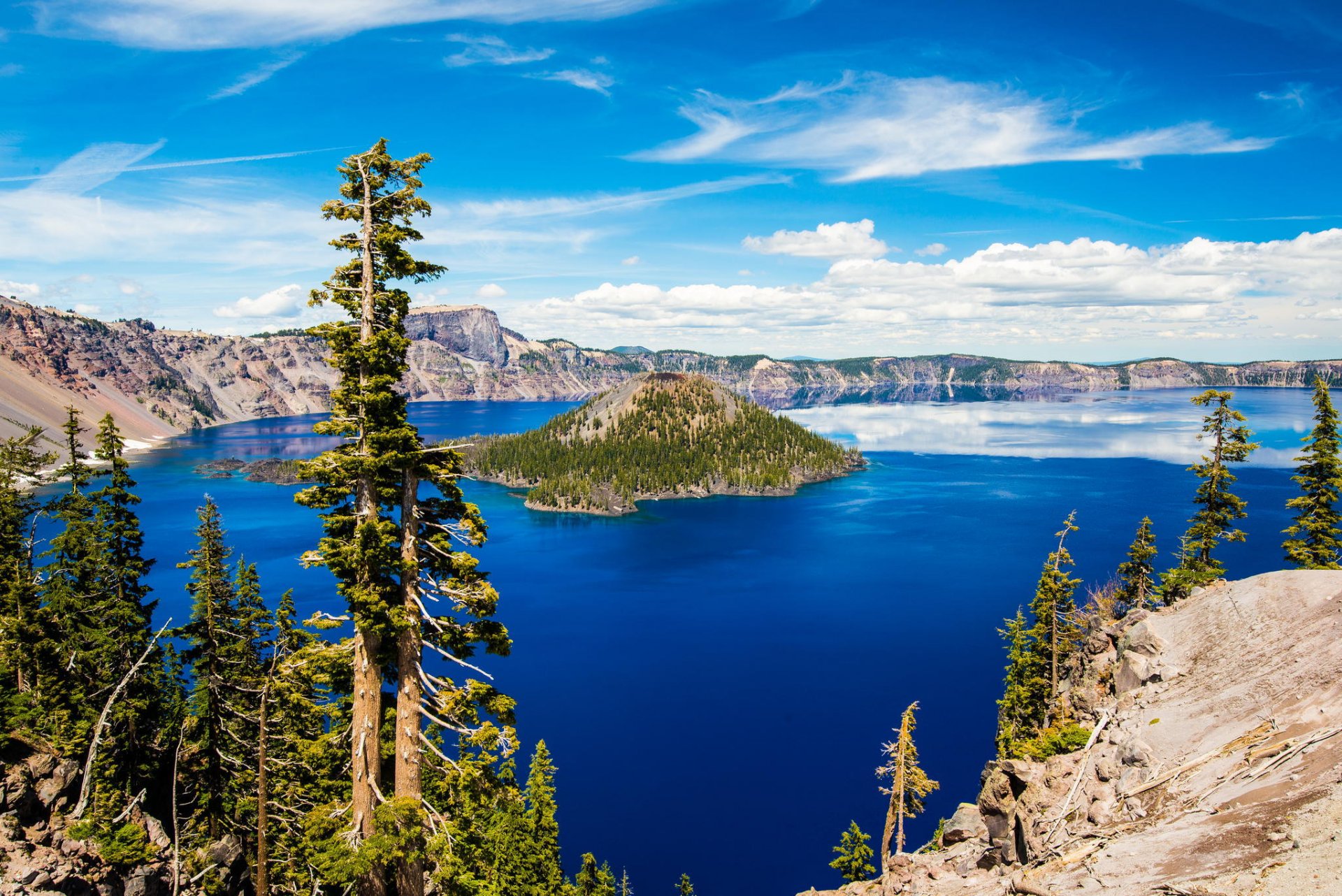 crater lake crater lake national park oregon crater lake island tree