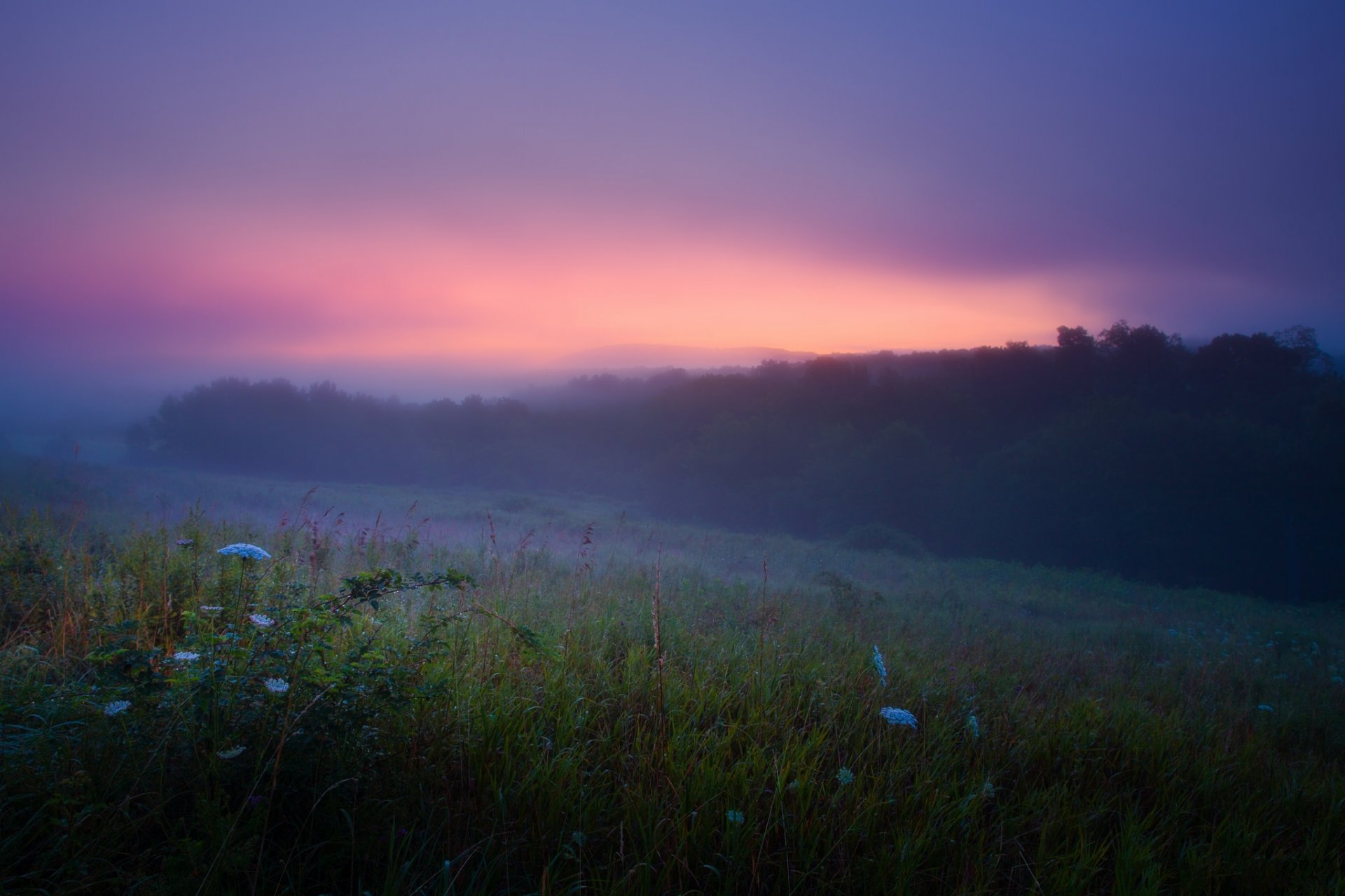 verano mañana niebla rocío amanecer