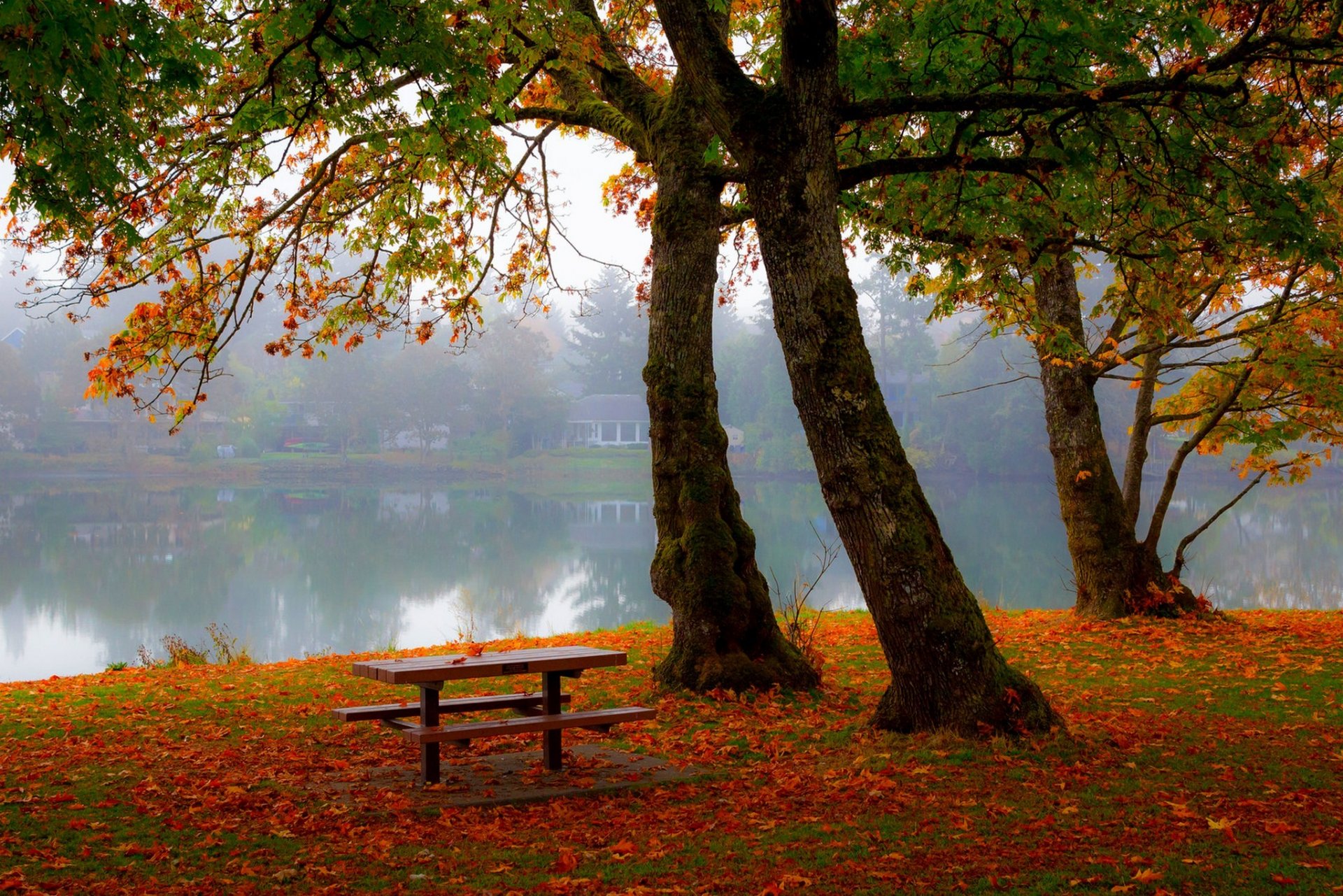 nature banc paysage forêt arbres automne villa maison architecture vila maison vue stand