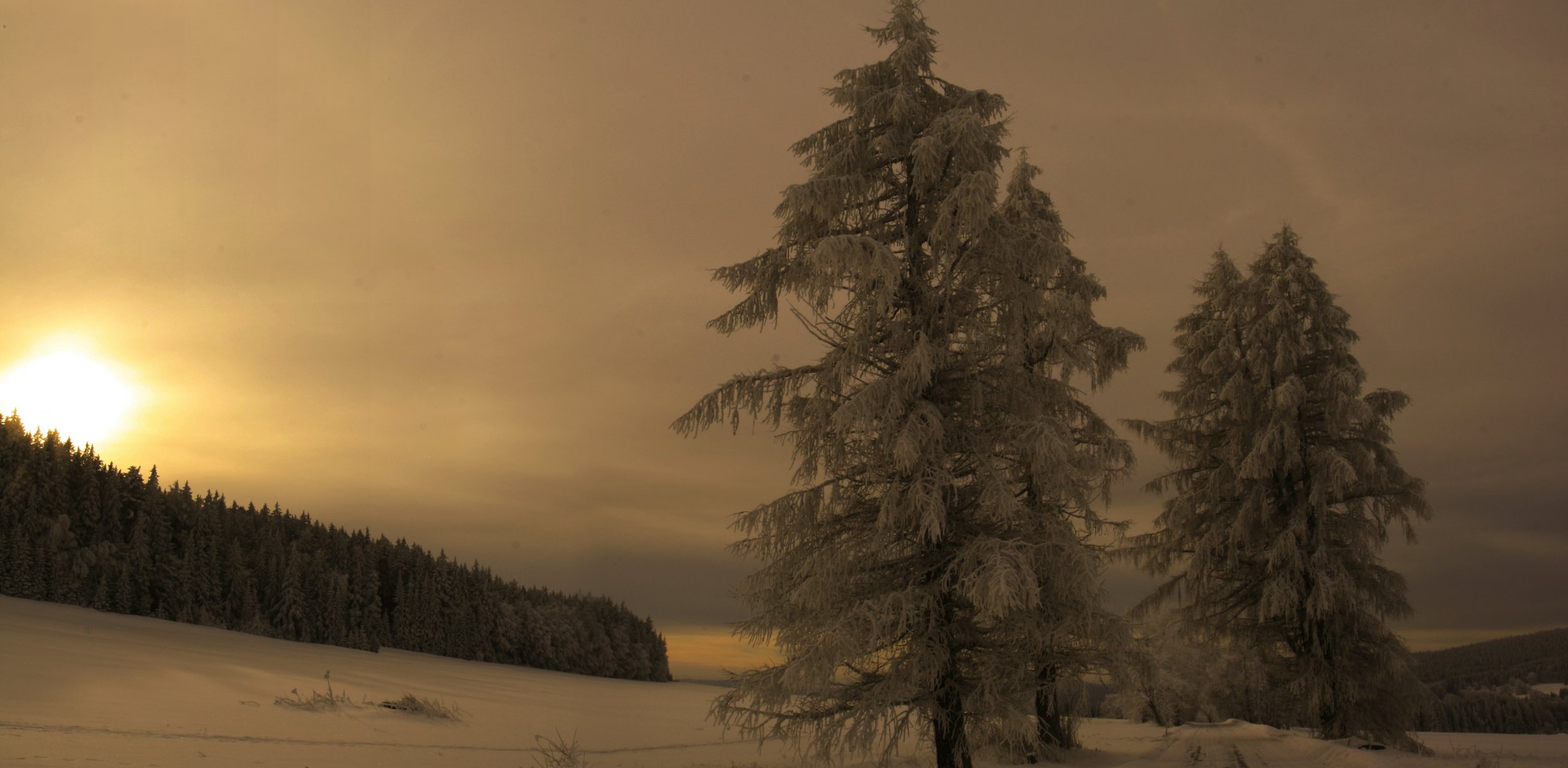 hiver šumava soirée montagnes forêt neige république tchèque bohême narodni park šumava okolí borových lad