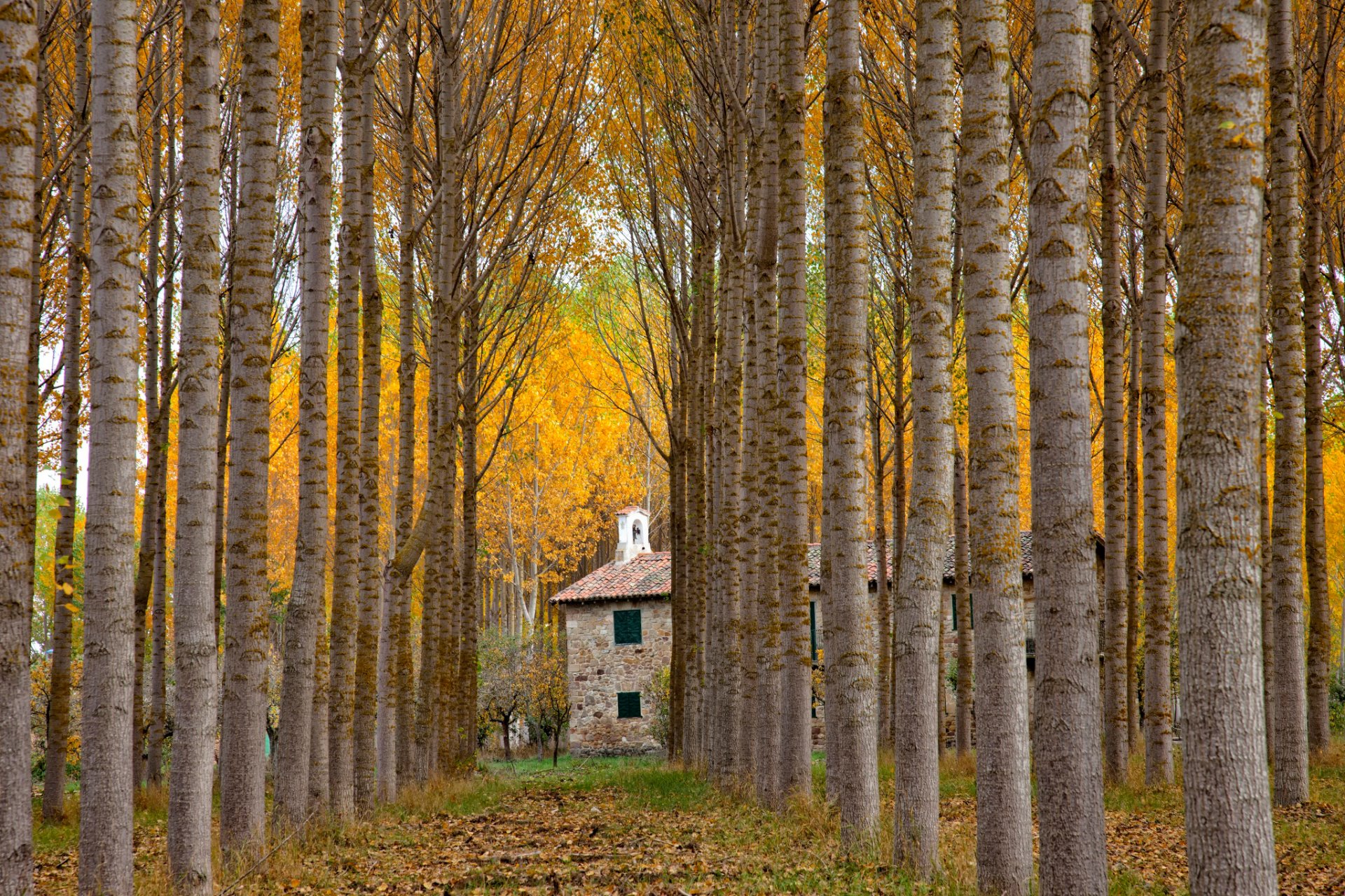 espagne ruelle automne