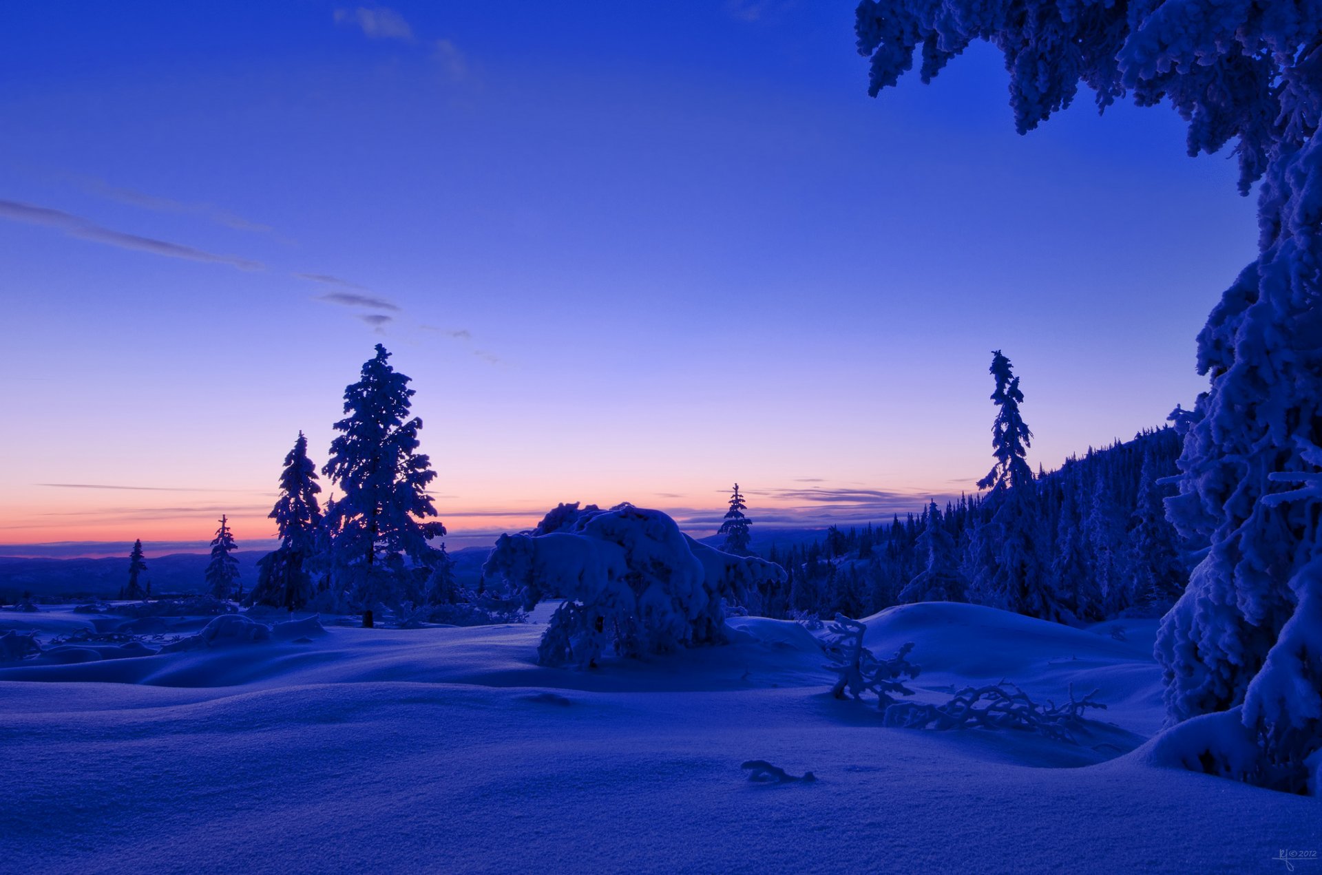 noruega invierno nieve bosque árboles tarde puesta del sol cielo nubes