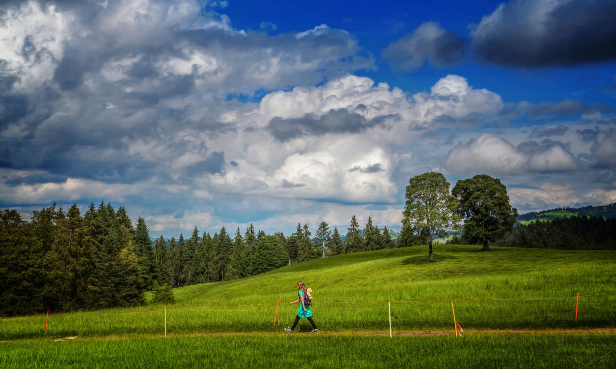 paysage fille sentier