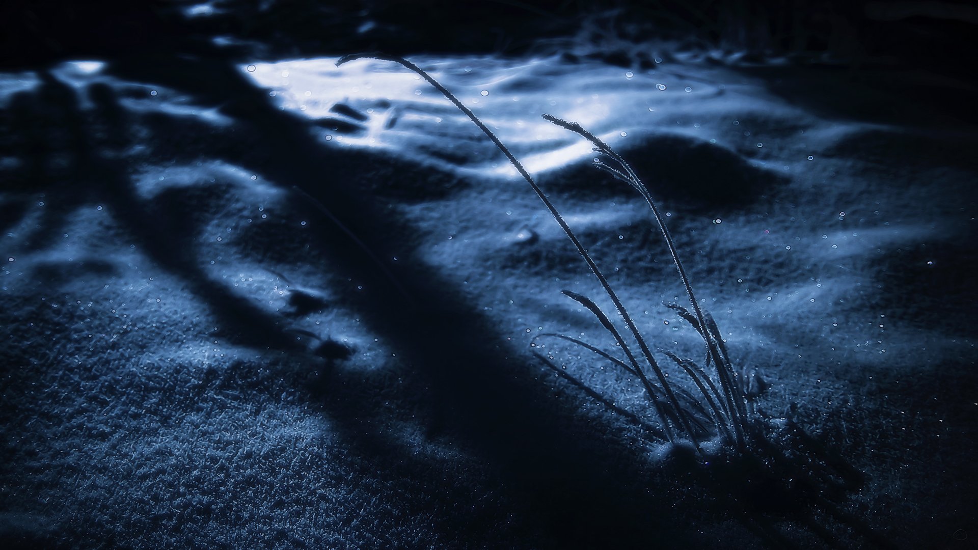 nieve invierno noche sombra hierba chispas