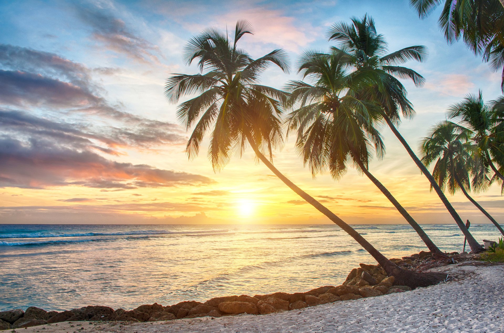 tropical paradise beach palms sea sunset palm tropics sand