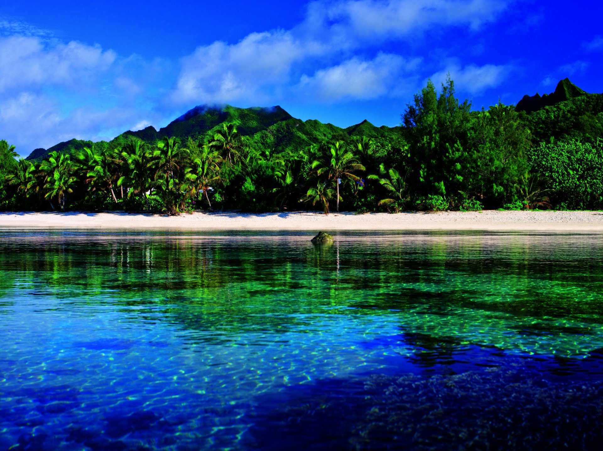 beach palm green water mountain cloud