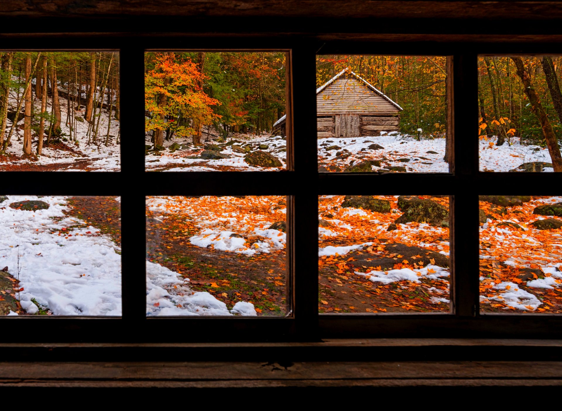 naturaleza bosque ventana invierno nieve parque árboles hojas colorido camino otoño caída colores paseo hierba casa invierno