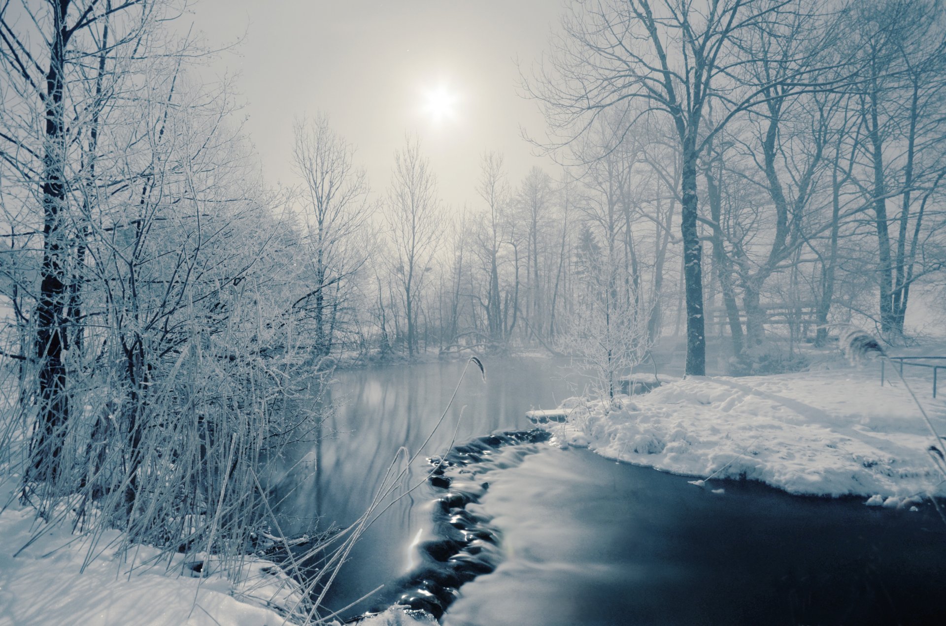 invierno río niebla árboles sol