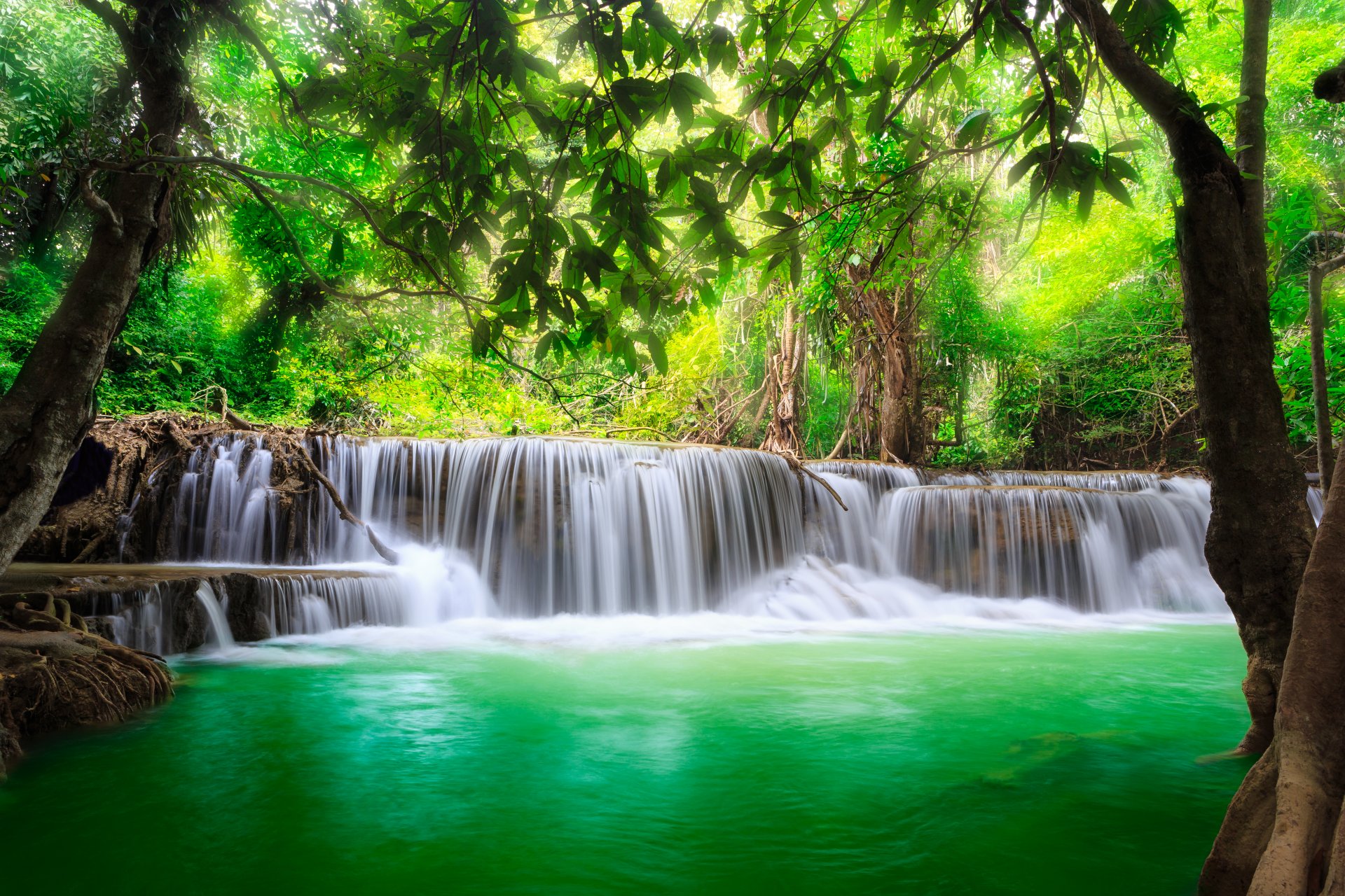 cascada río corriente esmeralda agua bosque