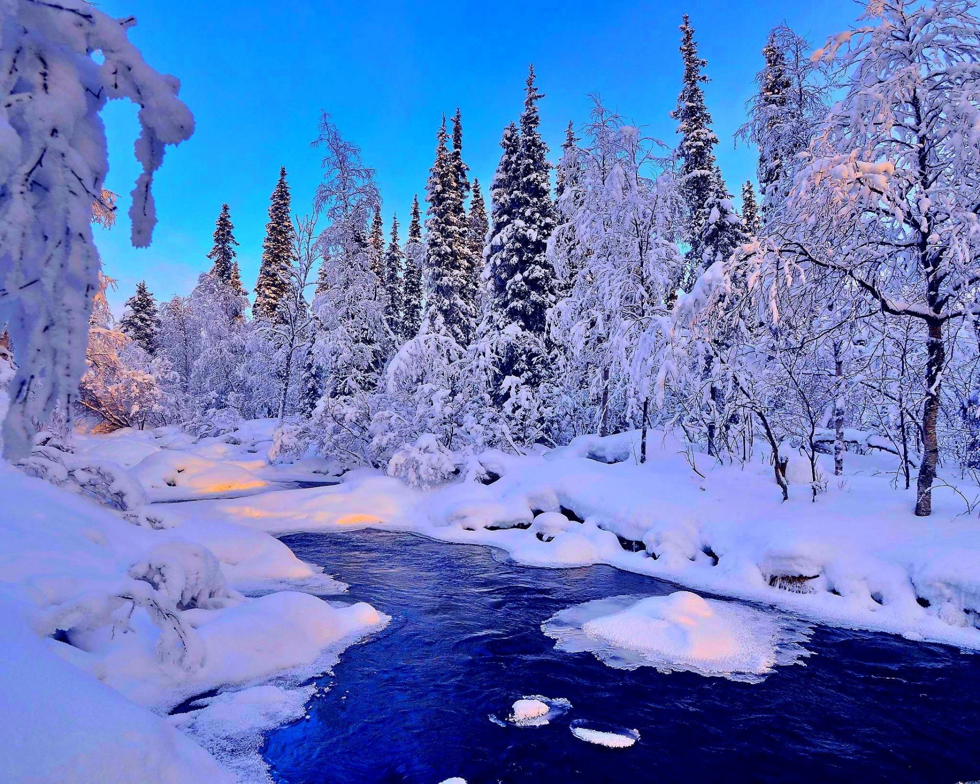 invierno río nieve paisaje bosque árboles abeto