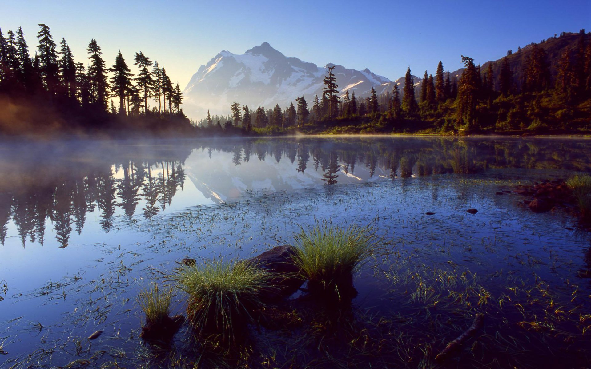 montagnes lac brouillard sapins