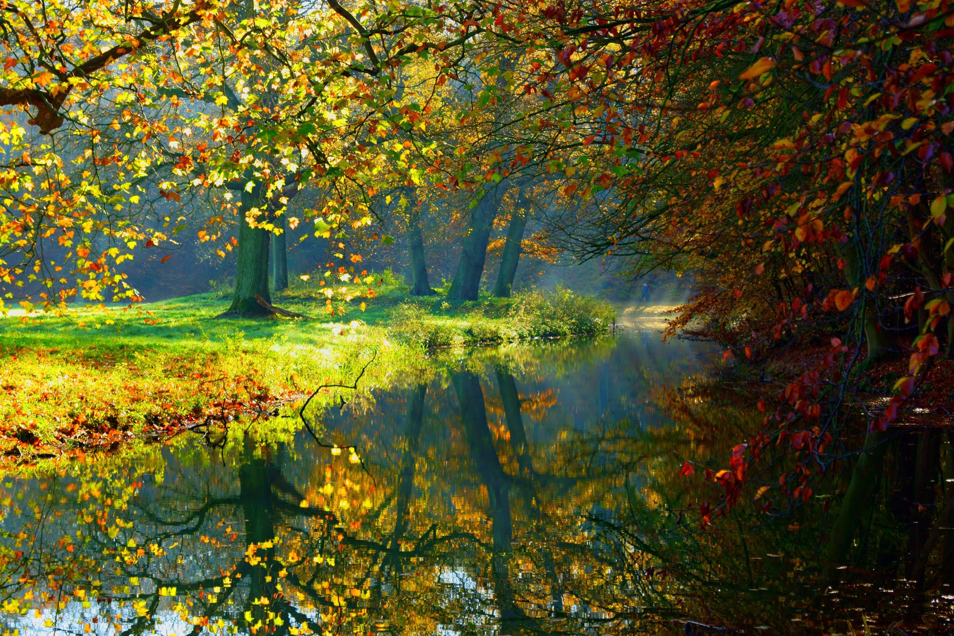 naturaleza paisaje bosque árboles otoño río otoño ver