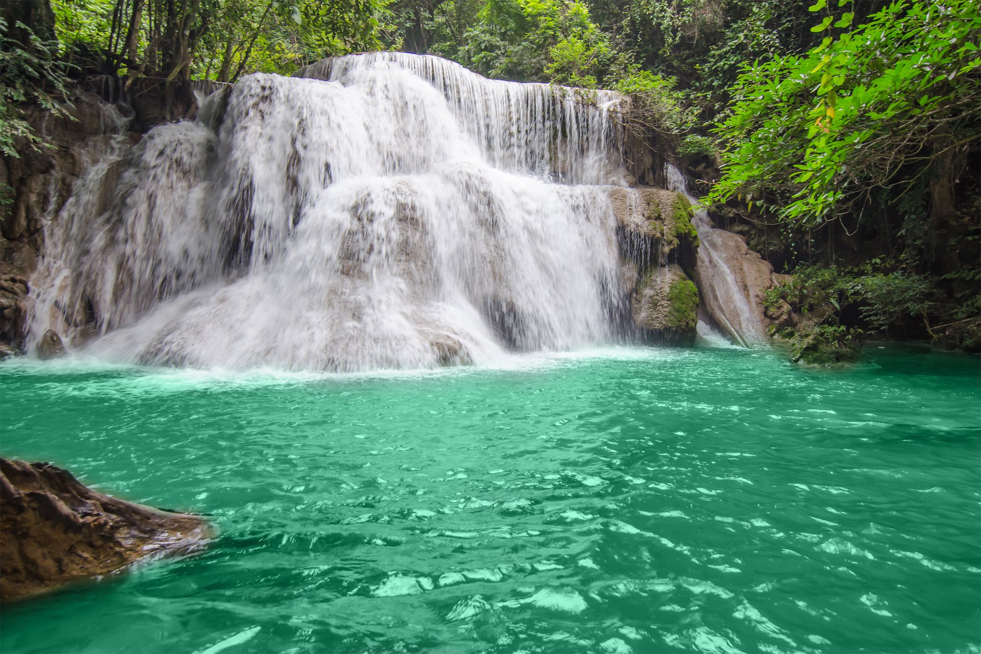 natur wald bäume fluss wasserfall strom