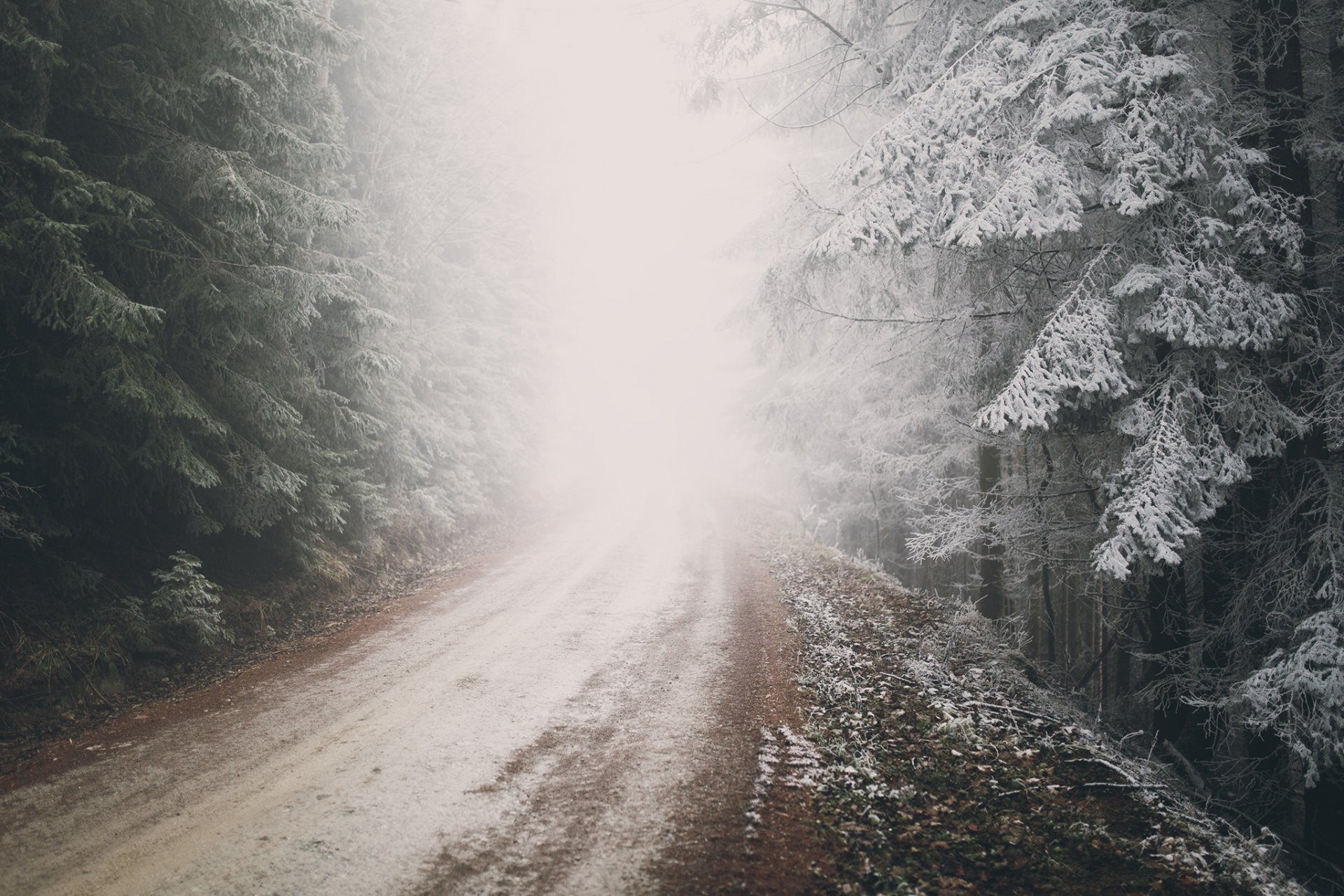 naturaleza austria bosque carretera invierno escarcha escarcha niebla