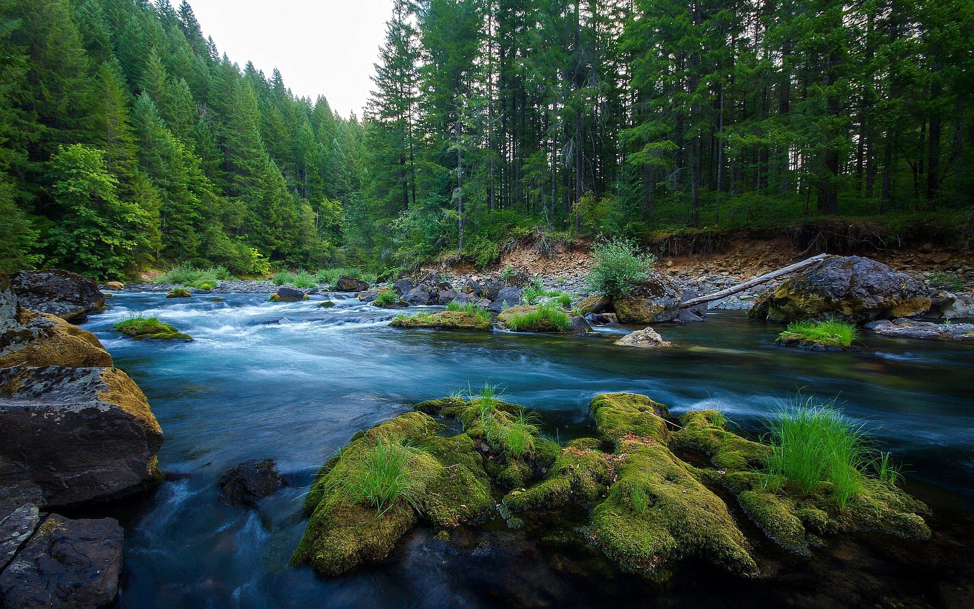 himmel wald fluss steine natur